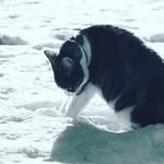 June Shipley - @june.shipley.96 - Instagram