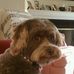June Caplan Silverman - Facebook