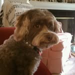 June Caplan Silverman - @junecaplan - Instagram