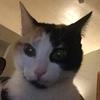 June Singleton - @junesingleton0206 - TikTok