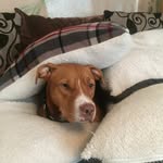 June Smith - @junesmith38 - Instagram