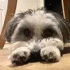 June Smith - @june.smith947 - TikTok