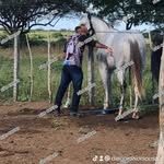 Diego Junior Sousa - @chapadinha_teixeira - Instagram