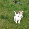 June Speirs - @june.speirs - TikTok
