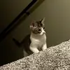Spring with June - @spring.with.june - TikTok
