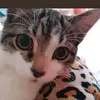 Jane Statton 🏴󠁧󠁢󠁷󠁬󠁳󠁿 - @jane.statton - TikTok
