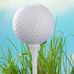 June Staton Golf - Facebook