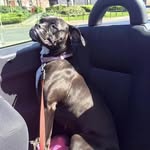 June McDaid - @junestclairmc - Instagram