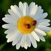 Jana Steinmetz - Facebook