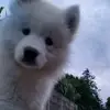 June Stevens - @june.stevens7 - TikTok