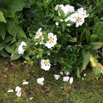 June Stevens - @junestevens596 - Instagram