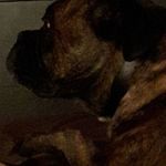 June Stevenson - @june.stevenson.71 - Instagram
