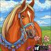 Joni Shockley - Facebook