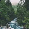 Junebuggg. - @june.stickney - TikTok