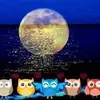 junefainstock - @junefainstock - TikTok