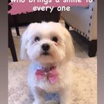 June Stokes - @june.s.boyd - Instagram