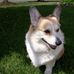 June M. Stover - Facebook