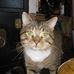 June Strachan - Facebook