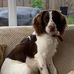 June Strachan - Facebook