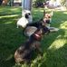 June Strawn - Facebook