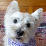 June Carcary-Stuart - @carcarystuart - Instagram