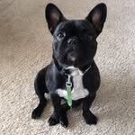 June Sturgeon - @sturgeon9156 - Instagram