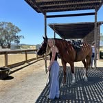 June Sullivan - @junesullivan_ - Instagram