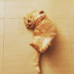 박준성 - @junesung2001 - Instagram