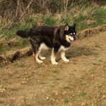 June Sutton - @june.sutton.75457 - Instagram