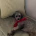 June Sutton-Wetherington - Facebook