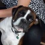 June Swannick - @juneswannick - Instagram