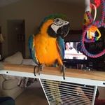 June Swanson - @rjswan777 - Instagram