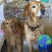 June Sweeney - Facebook