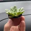 JuneMargaretMcTaggart - @junemargaretmctaggart - TikTok
