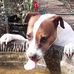 June Teague - Facebook