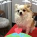 June Templeton - Facebook