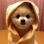 June Teng - @tengjune - Instagram