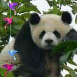 June Teng - @june.teng.90 - Instagram