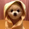 juneteng653 - @juneteng653 - TikTok