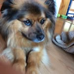 June Tennant - @june.may10 - Instagram