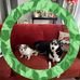 June Thompson - Facebook