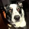 June Thorne468 - @junethorne468 - TikTok