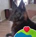 June Thorne - Facebook