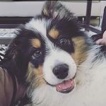 June Thurman - @lifeoflew - Instagram