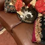 June Sherree Tierney - @junebug19623 - Instagram