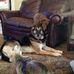 June Sullivan Timmons - Facebook