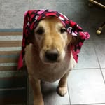 June Timmons - @timwim65 - Instagram