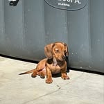 June bug tipton - @june_bug_2021 - Instagram