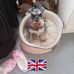 June Tobin - Facebook