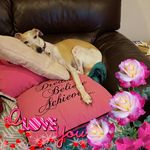 June Tobin - @june.tobin.65 - Instagram